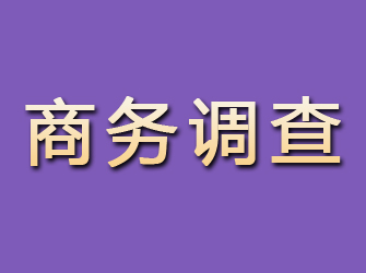 高县商务调查