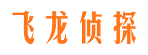 高县市侦探调查公司